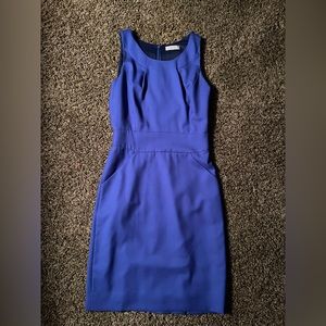 J. Crew Dress